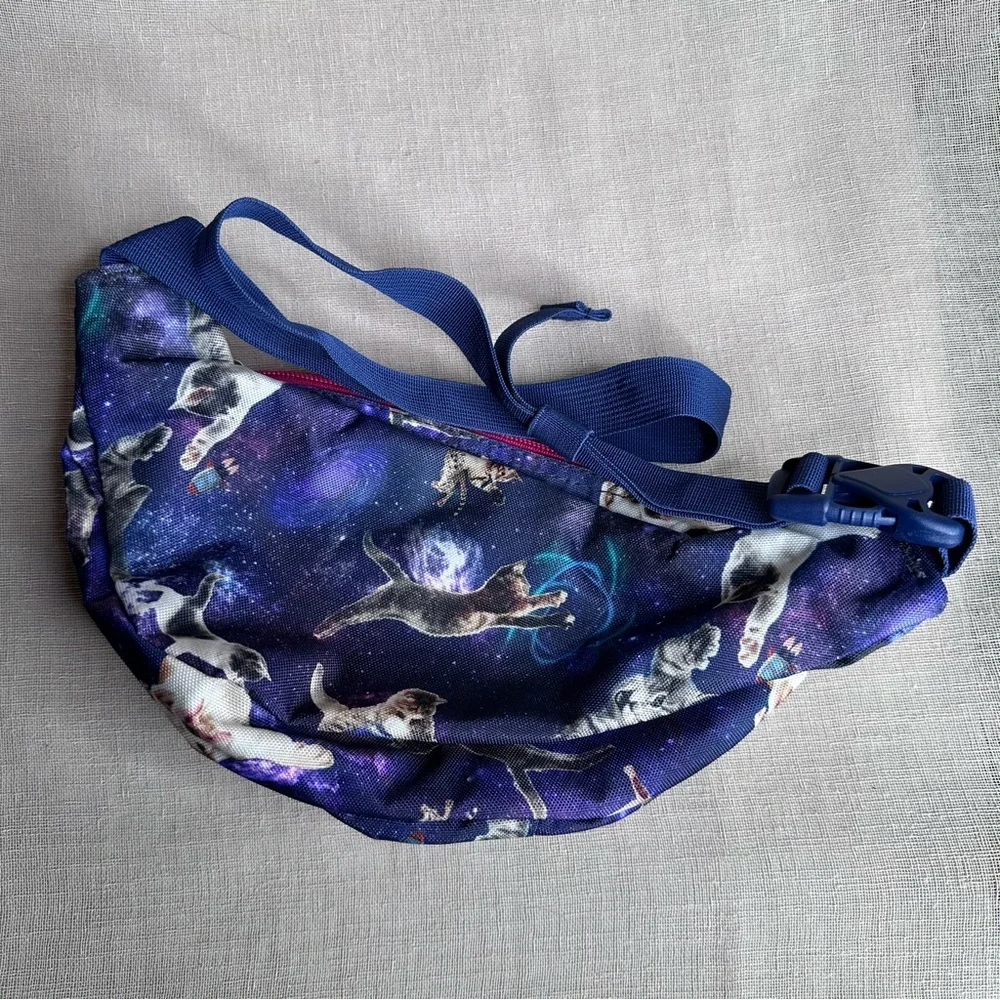 Jansport Galaxy Cat Dog Fanny Pack - Blue and Pink - Picture 3 of 8